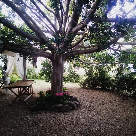 Pedra De Mari Penzion 4*